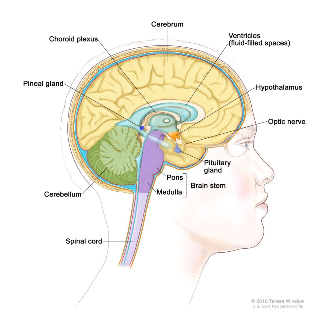 How to Activate the Pineal Gland